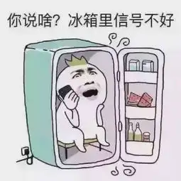  冰箱里信号不好表情包