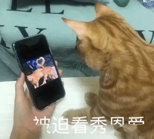  表情包恋爱没什么复杂的