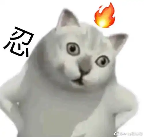  撒可可粉跟想象中不太一样