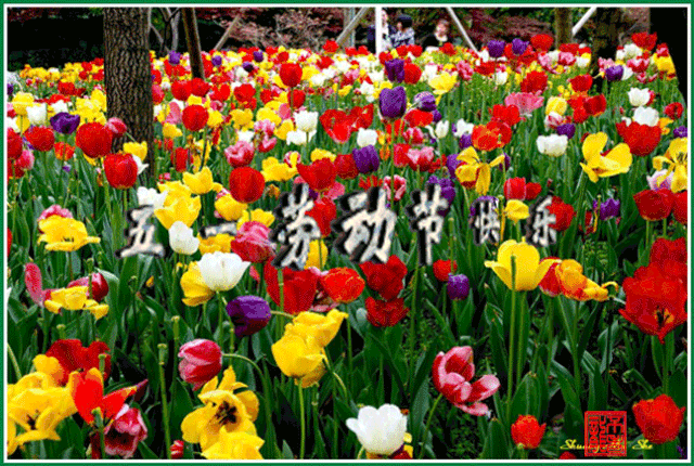  2020五一劳动节问候祝福语大全5.1劳动节问候祝福动态表情图片