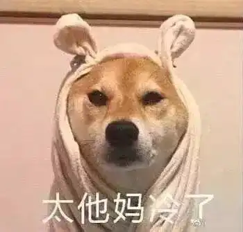  表示很冷的表情包合集今天那么冷,要不要来一个爱的抱抱啊