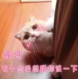  恋爱专属表情做狗不好吗,为什么要恋爱
