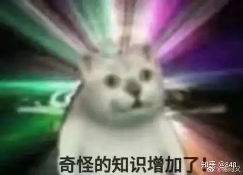 猫猫表情包高清考研