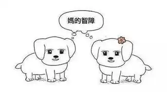  我从来没见过任何一个人长得这么年轻却又这么老,这么女人味却又这么阳刚,这么美却又这么丑丨节操睡了