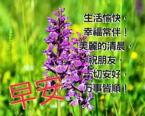  2019特漂亮的早安祝福唯美图片带字温馨最新早上好祝福问候短信
