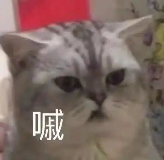  沙雕表情包老子带这么大的眼镜,都看不懂这个憨批