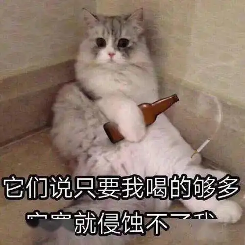 猫猫表情包高清交作业