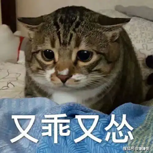  最新表情包图片给我发红包的人,都找到对象了