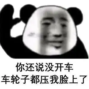  表情包还说没开车,车轮子都压我脸上了