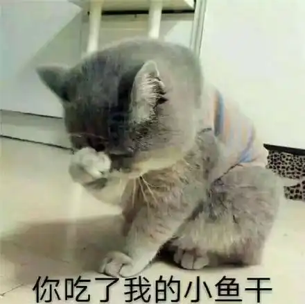  给我点小鱼干表情包给我点小鱼干微信表情包给我点小鱼干qq表情包发表情fabiaoqing.com