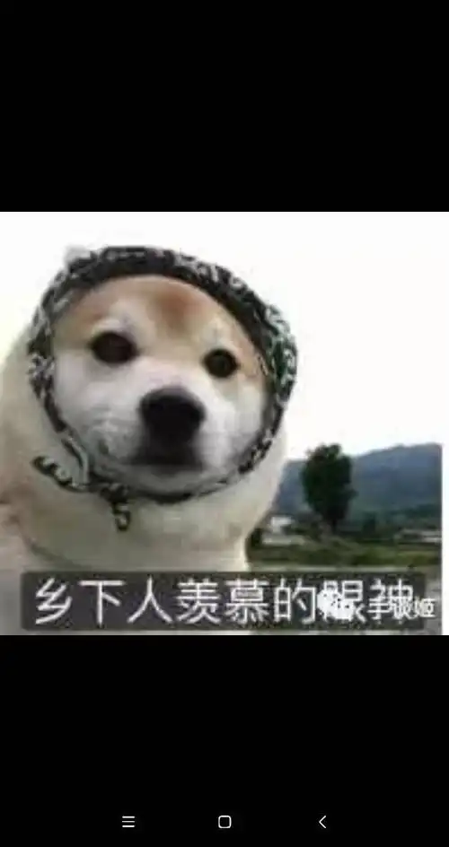  求一下乡下人羡慕的眼神表情包,没水印的谢谢