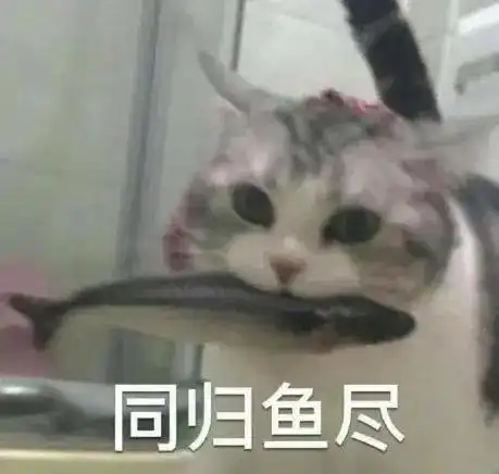  新一代女海王更狠项思醒都自愧不如