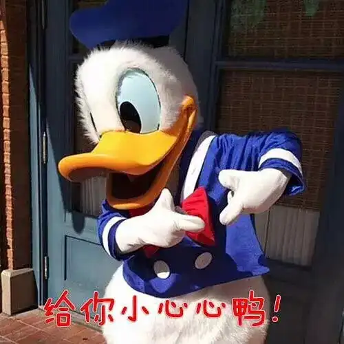 窃瓦拉格表情包唐老鸭