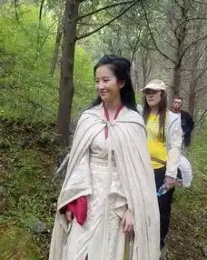  女星斗篷照范冰冰惊艳,杨幂路人,刘亦菲仙气