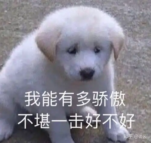  手机后置摄像头有必要贴膜吗