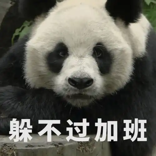 画斗图熊猫表情包素描表
