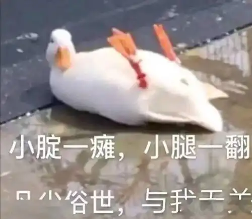  护肤身体护理还就只知道身体乳呢