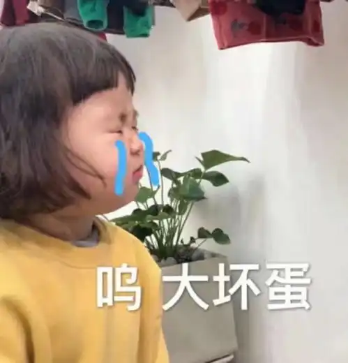 乖表情包罗熙
