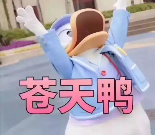  再见,八月福州也终于要出太阳了34我们周一不见不散