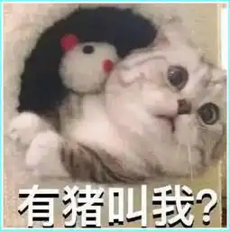  表情包聊着聊着就不回了,坟头草信号不好是吧