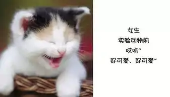 啊啊啊动物表情包表情