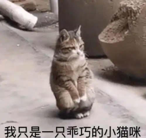  张学友蚊子恶搞微信表情包