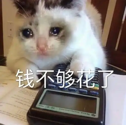  委屈表情包钱不够花了