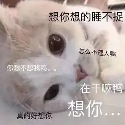  斗图表情包合集斗图没有这些表情包,还斗个锤子