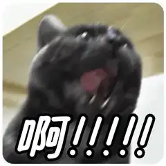 大气都不敢喘表情包