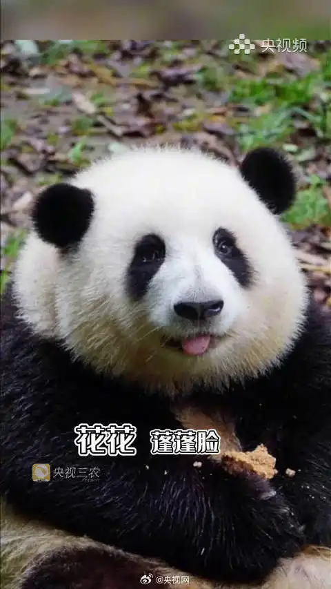  滚动