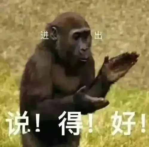 窃瓦拉格表情包李逵