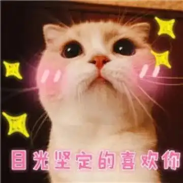 微信表情包盈利猫咪