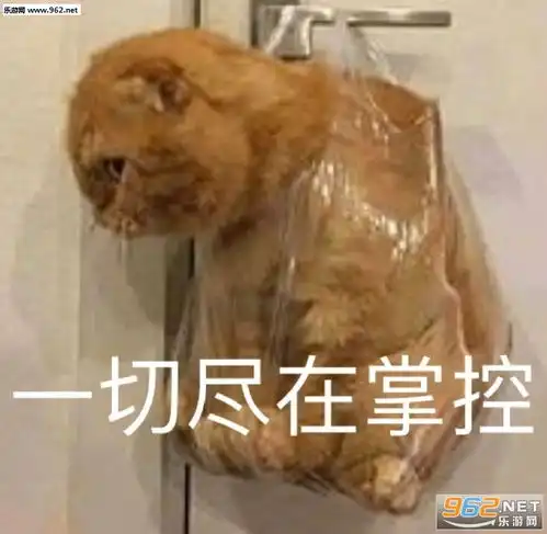  给钱就都可以图片我是奥利奥谁他妈泡我表情包下载乐游网游戏下载