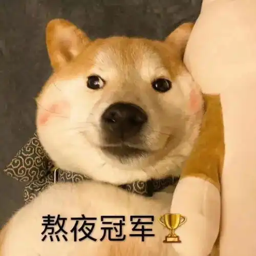  脱发星人还有的救把美容院搬回家还得了
