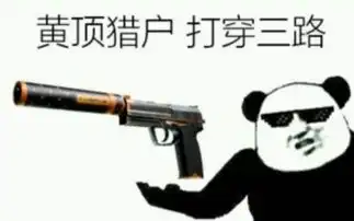  csgo皮肤表情csgo皮肤押韵表情包快吧游戏