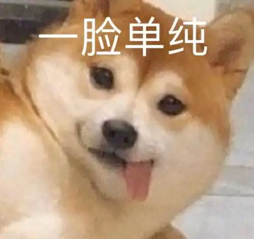  十条笑话那些广场舞看起来好难啊我们以后能学会嘛