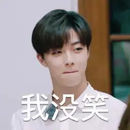 大笑动图表情包李宇春