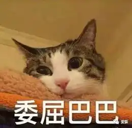  这些网红猫粮靠谱吗实际上,水分有点大