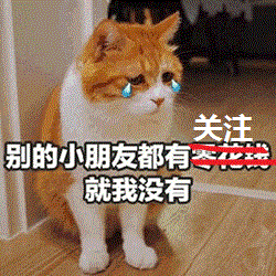 母猫自来闯店里,连叼4小猫进仓库你要养我们哦
