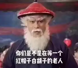  这个红帽子白胡子的老头承包我一天的笑点