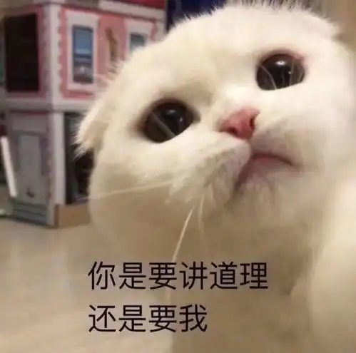 啊啊啊动物表情包咋地