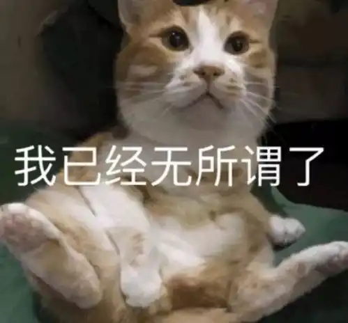  表情包我是个爱而不得的小傻瓜