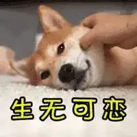 1000张门票免费送送送天津水乐园,蹦床,游乐场通通免费玩手慢无