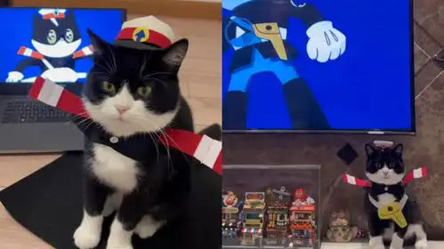 小黑猫的表情包铜铃