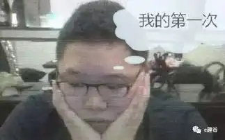 无敌版表情包战争pdd