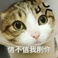  表情无所谓猫的微信头像卡通无所谓猫头像