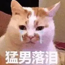  历史回顾网红猫咪楼楼表情包第七弹