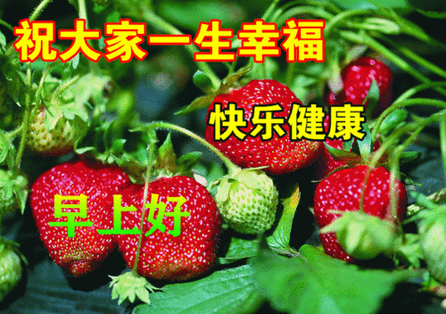  10月5日漂亮的早上好动态表情图片大全,国庆假期早安祝福语