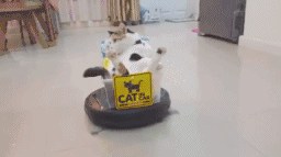 你不要走表情包搞笑gif