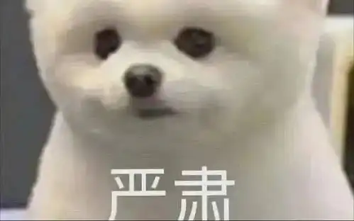  追创4的集美们分享一下张星特和刘宇的互动吧